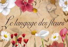 Le langage des fleurs