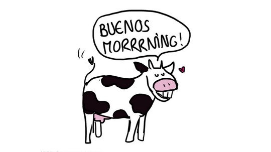 8 expressions illustrées pour ceux qui parlent anglais comme une vache espagnole