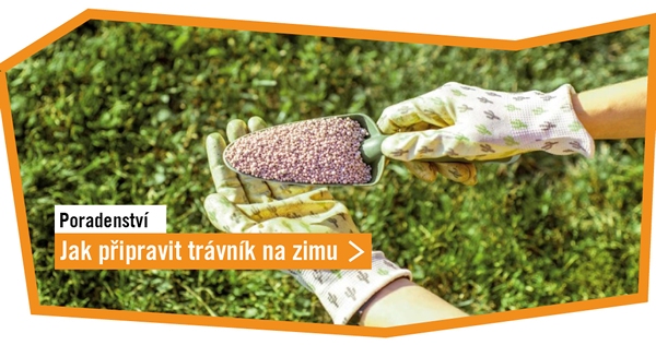 4 tipy, jak připravit tr&aacute;vn&iacute;k na zimu