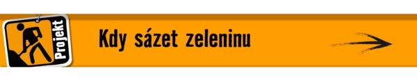 Kdy s&aacute;zet zeleninu