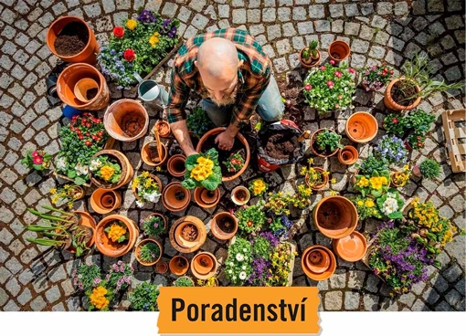P&aacute;r tipů, co dělat na jarn&iacute; zahradě