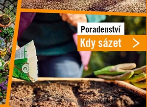 Kalend&aacute;ř na cel&yacute; rok aneb kdy s&aacute;zet a jak pěstovat zeleninu