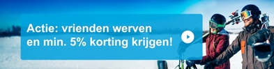 Vriendenwerving