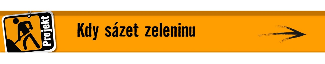 Kdy s&aacute;zet zeleninu