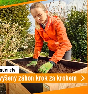 Vyv&yacute;&scaron;en&yacute; z&aacute;hon krok za krokem