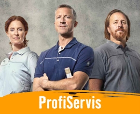 ProfiServis