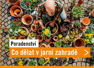 P&aacute;r tipů, co dělat na jarn&iacute; zahradě