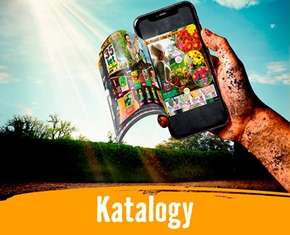 Katalogy