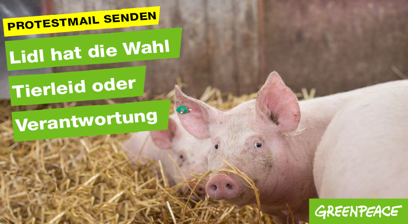 Hier geht's zur Protestmail!