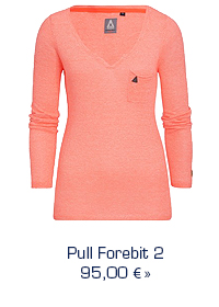 Pull Forebit 2 - 95,00 € 