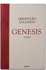 su Salgado. Genesis